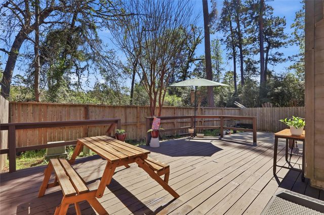 151 Anise Tree Place, The Woodlands, TX 77382