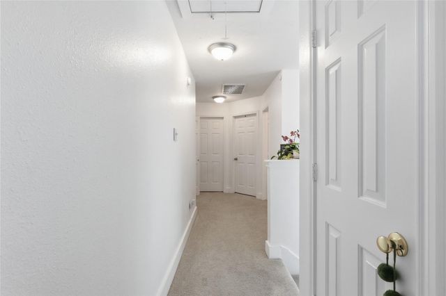 151 Anise Tree Place, The Woodlands, TX 77382