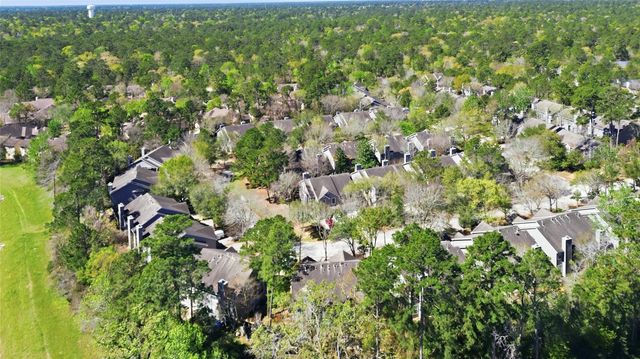 151 Anise Tree Place, The Woodlands, TX 77382