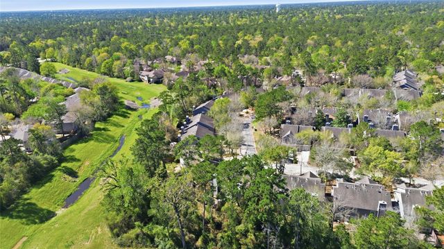 151 Anise Tree Place, The Woodlands, TX 77382