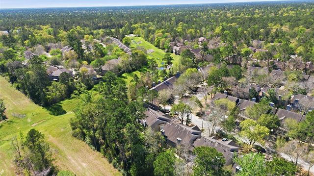 151 Anise Tree Place, The Woodlands, TX 77382