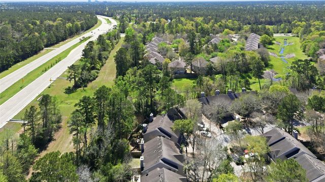 151 Anise Tree Place, The Woodlands, TX 77382