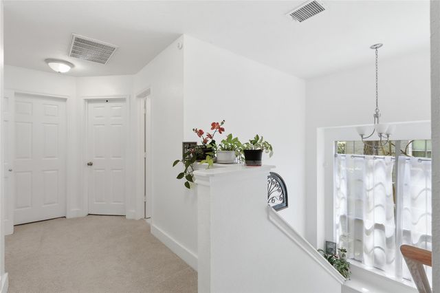 151 Anise Tree Place, The Woodlands, TX 77382