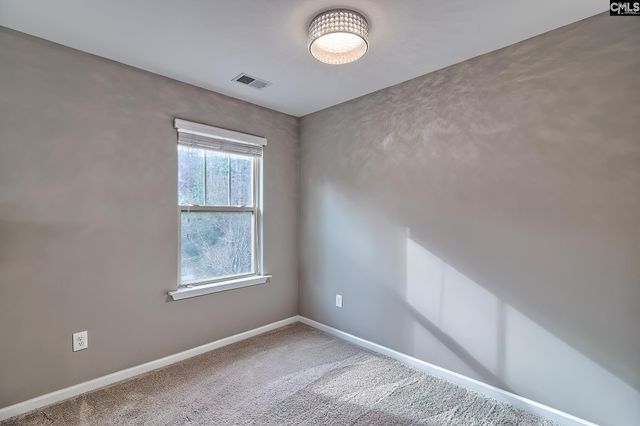 301 Massey Circle, Chapin, SC 29036