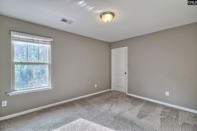 301 Massey Circle, Chapin, SC 29036