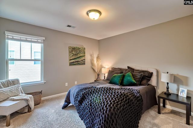 301 Massey Circle, Chapin, SC 29036