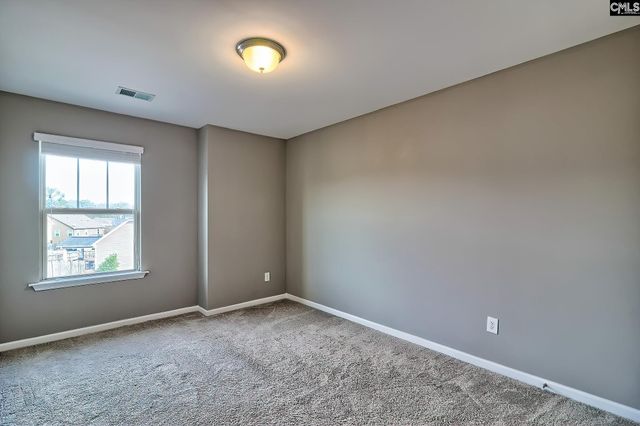 301 Massey Circle, Chapin, SC 29036