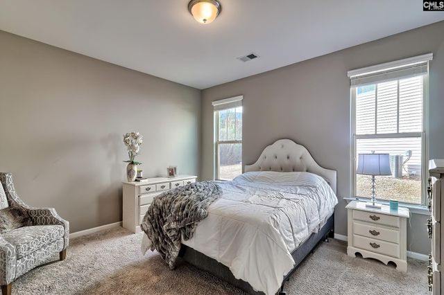 301 Massey Circle, Chapin, SC 29036