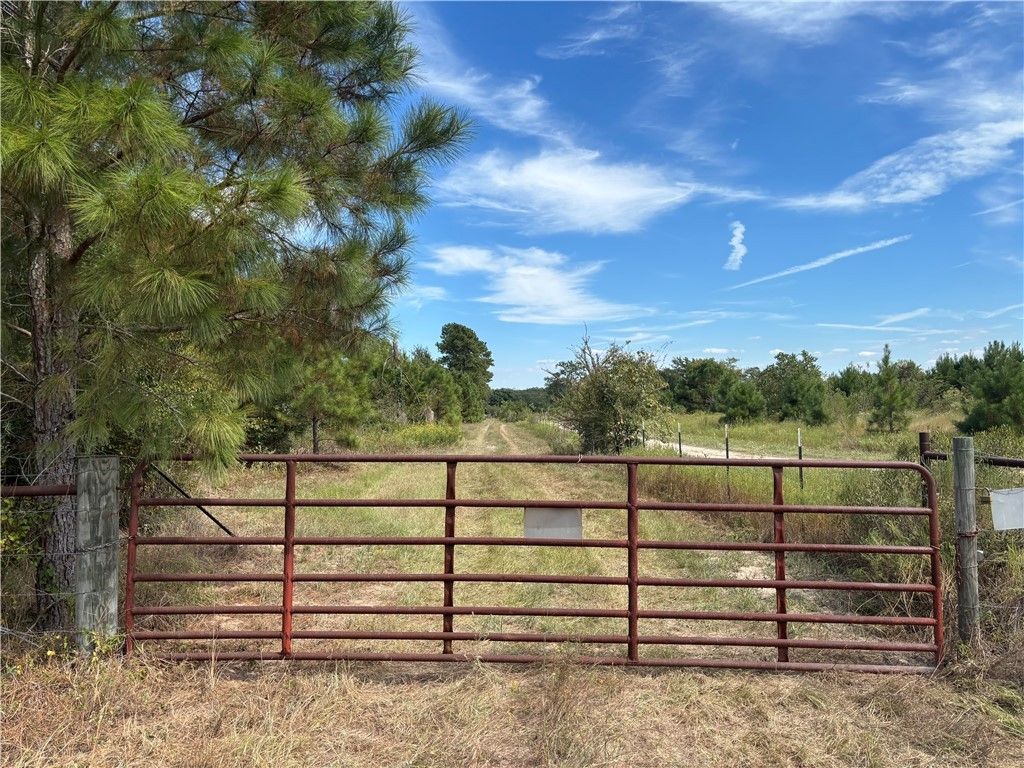 TBD County Road 304, Navasota, TX 77868 — photo 3