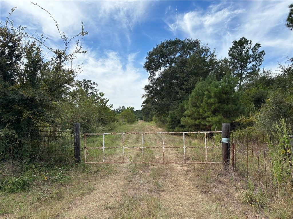 TBD County Road 304, Navasota, TX 77868 — photo 4