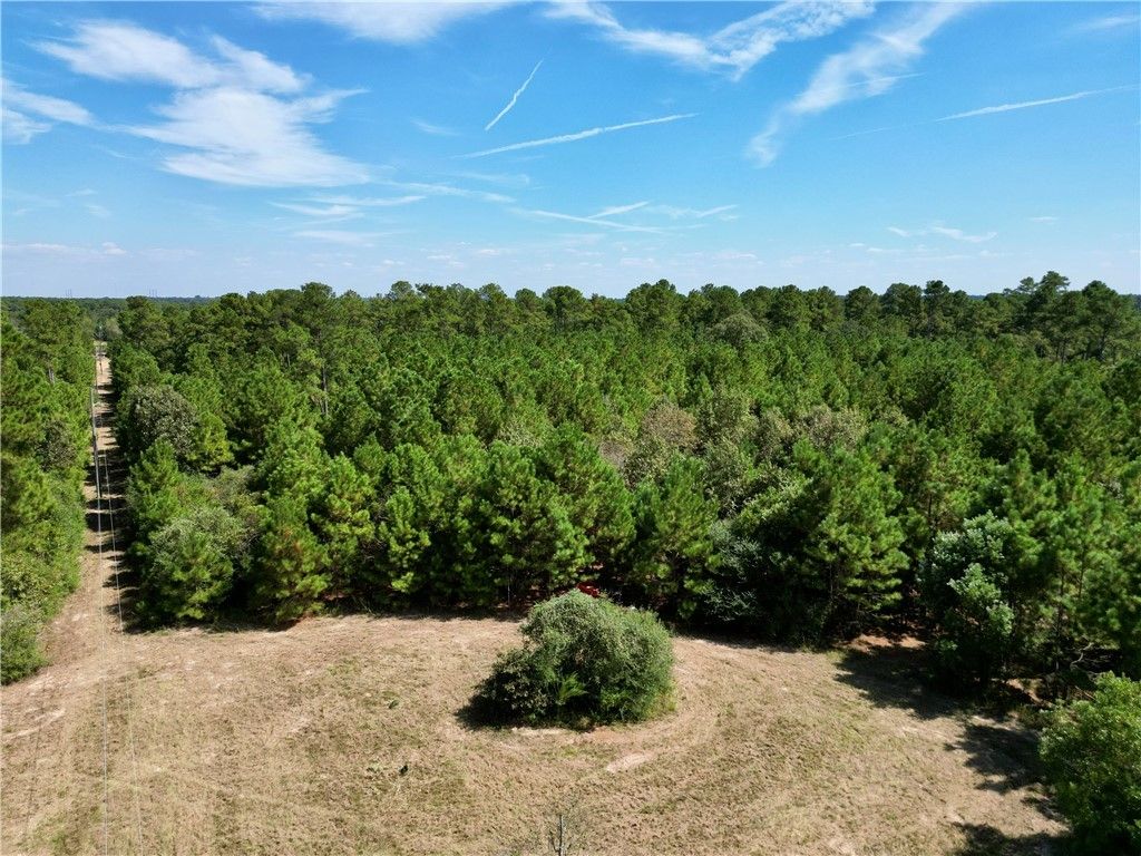 TBD County Road 304, Navasota, TX 77868 — photo 5