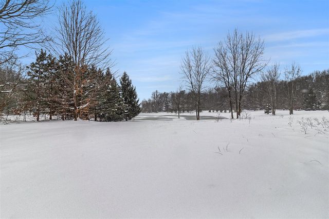 4535 N 68th Avenue, Hart, MI 49420