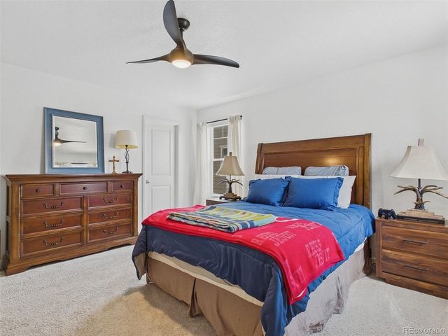 2907 Distant Rock Ave, Castle Rock, CO 80109