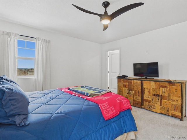 2907 Distant Rock Ave, Castle Rock, CO 80109