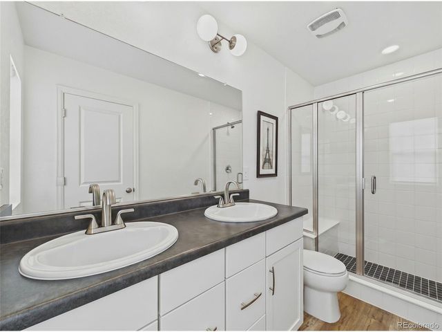 2907 Distant Rock Ave, Castle Rock, CO 80109