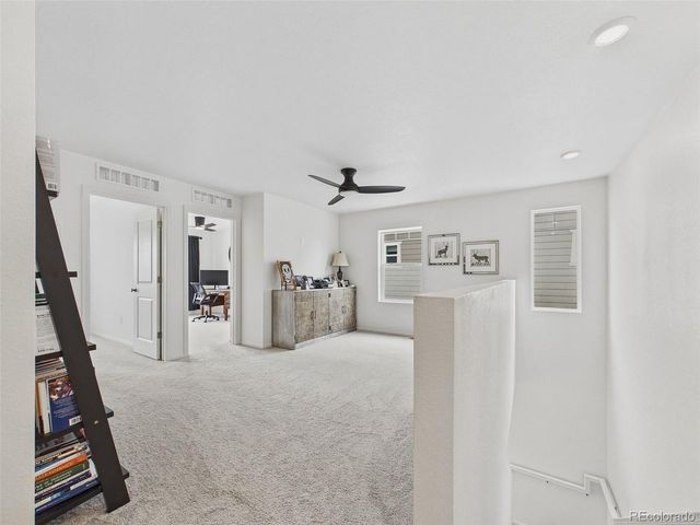 2907 Distant Rock Ave, Castle Rock, CO 80109