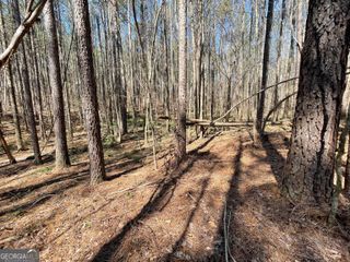 0 Joe Cook Road 2, Franklin, GA 30217
