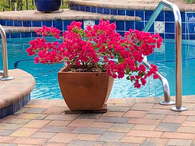 11532 BATHGATE COURT, New Port Richey, FL 34654