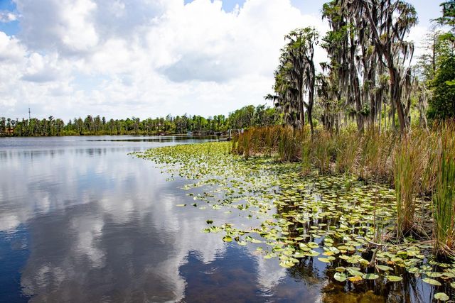 11532 BATHGATE COURT, New Port Richey, FL 34654