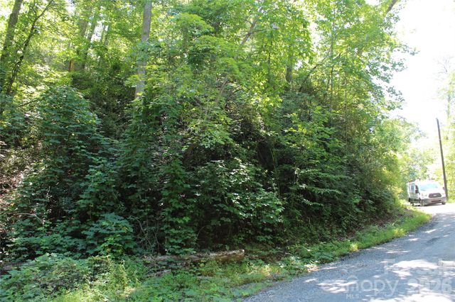 00 Sparrows Way, Lake Lure, NC 28746