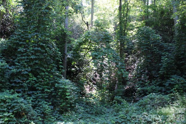 00 Sparrows Way, Lake Lure, NC 28746