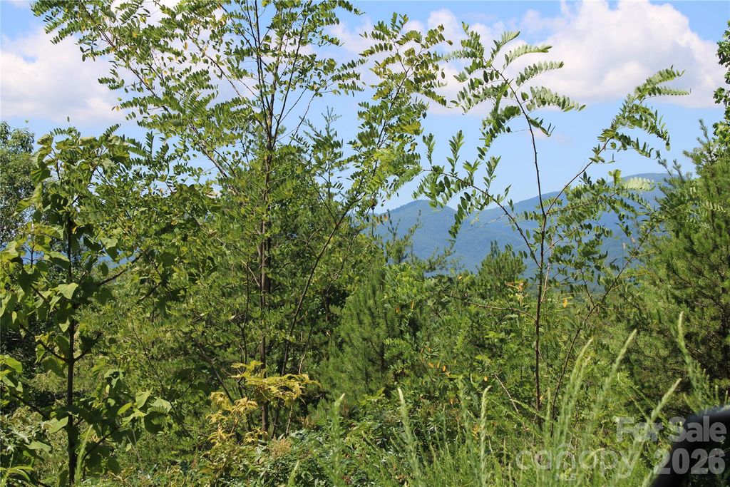 00 Sparrows Way, Lake Lure, NC 28746