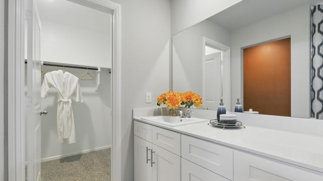 1009 LEAPING LARK Lane, Fort Worth, TX 76131