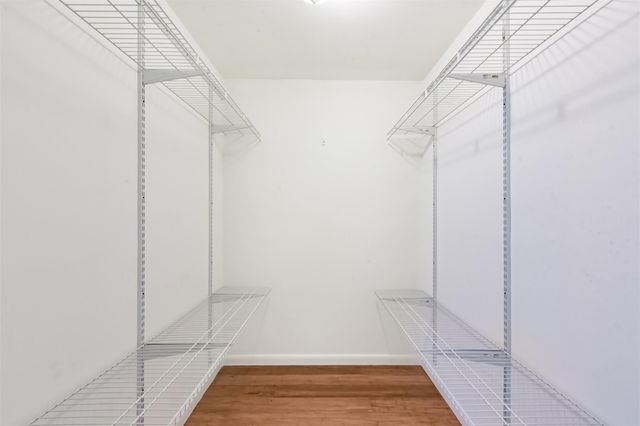 4405 Goldfinch Street, Houston, TX 77035