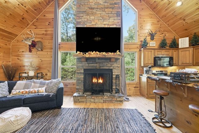 441 Carlisle Drive, Ellijay, GA 30540