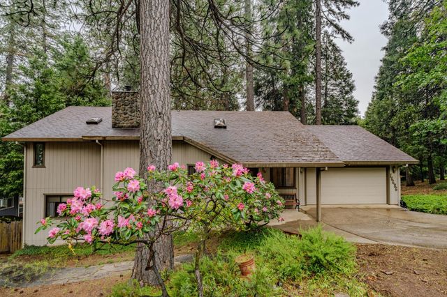 16686 Meadow Vista Dr, Pioneer, CA 95666