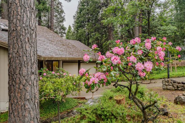 16686 Meadow Vista Dr, Pioneer, CA 95666