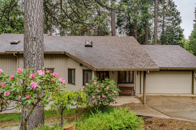16686 Meadow Vista Dr, Pioneer, CA 95666