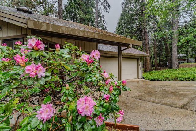 16686 Meadow Vista Dr, Pioneer, CA 95666