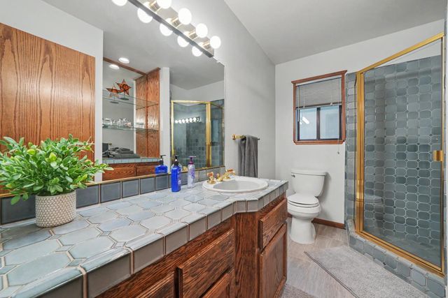 16686 Meadow Vista Dr, Pioneer, CA 95666
