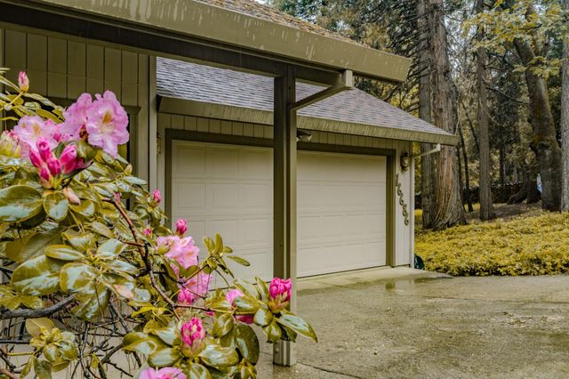 16686 Meadow Vista Dr, Pioneer, CA 95666