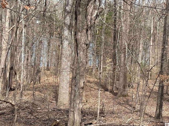 372 Rockcastle Lakeshore Dive 6A, 7A, 8A, 9A, 10A, 11A, Cadiz, KY 42211