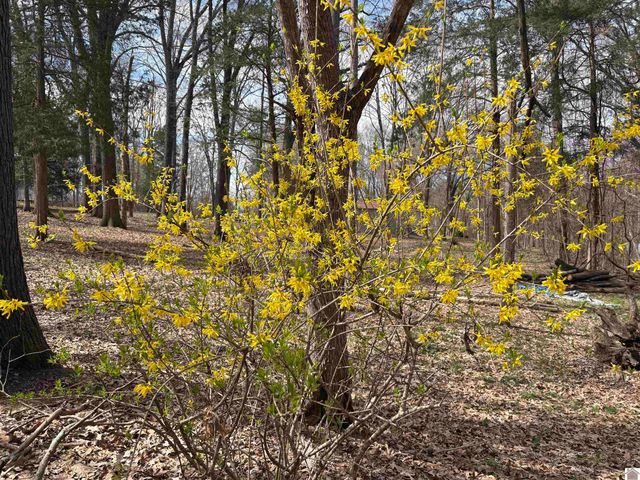 372 Rockcastle Lakeshore Dive 6A, 7A, 8A, 9A, 10A, 11A, Cadiz, KY 42211