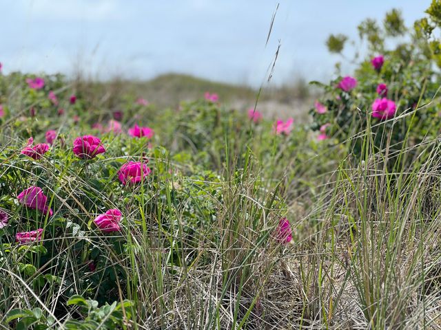 111 Lewis Road, West Yarmouth, MA 02673