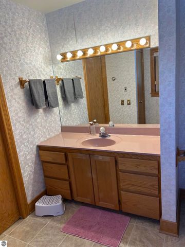 10027 E Grandview Court, Traverse City, MI 49684