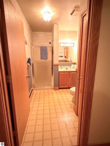 10027 E Grandview Court, Traverse City, MI 49684