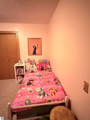 10027 E Grandview Court, Traverse City, MI 49684