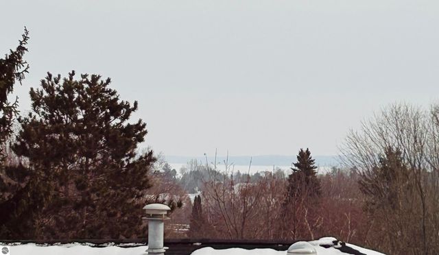 10027 E Grandview Court, Traverse City, MI 49684