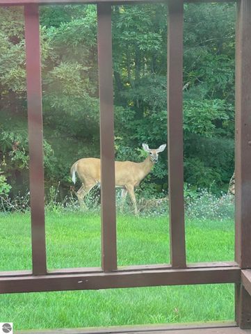 10027 E Grandview Court, Traverse City, MI 49684