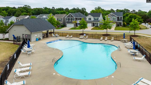1331 Tamarind Lane, Chapin, SC 29036