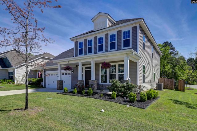 1331 Tamarind Lane, Chapin, SC 29036