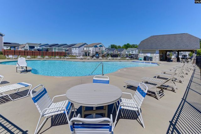 1331 Tamarind Lane, Chapin, SC 29036