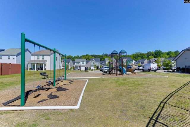 1331 Tamarind Lane, Chapin, SC 29036