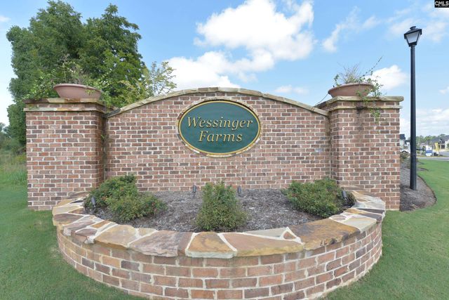 1331 Tamarind Lane, Chapin, SC 29036