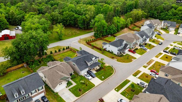 1331 Tamarind Lane, Chapin, SC 29036