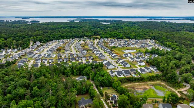 1331 Tamarind Lane, Chapin, SC 29036